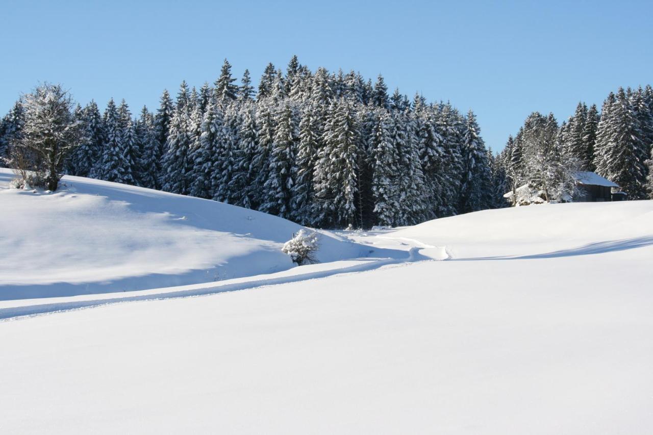 Haus Allgaeu Ruh Apartment Goerisried Luaran gambar
